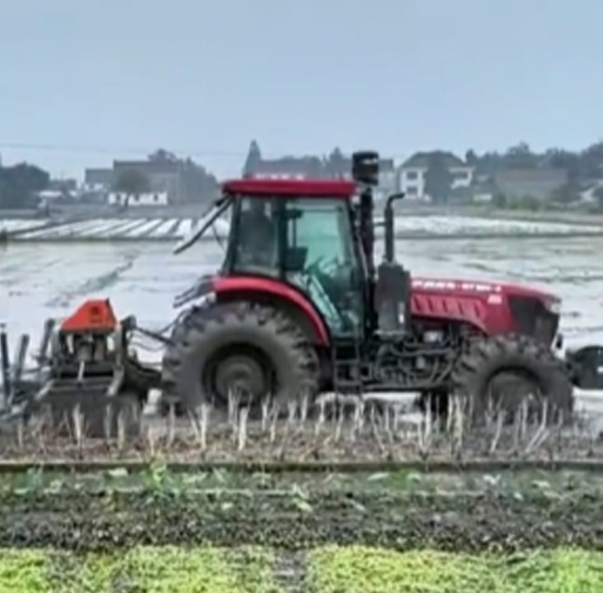 您負(fù)責(zé)統(tǒng)籌全局，它負(fù)責(zé)腳踏實(shí)地